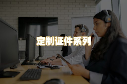 定制证件系列